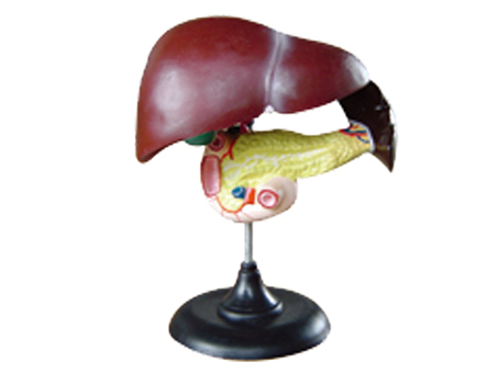 SD-093 33216����ʮ��֬�c�����Kģ��